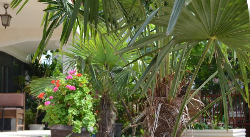 Villa Fania オフリド エクステリア 写真